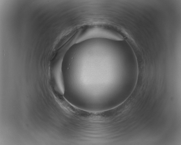 X0000081600685200701221137