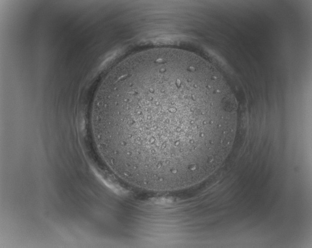 X0000081600687200701221137