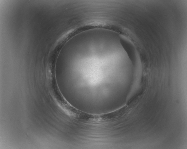 X0000081600688200701221137