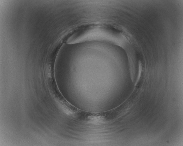 X0000081600689200701221137