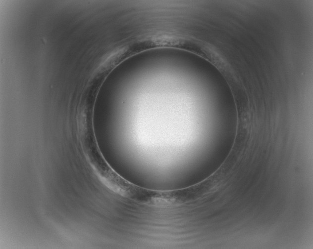 X0000081600690200701221137