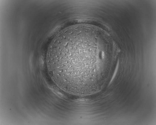 X0000081600691200701221137