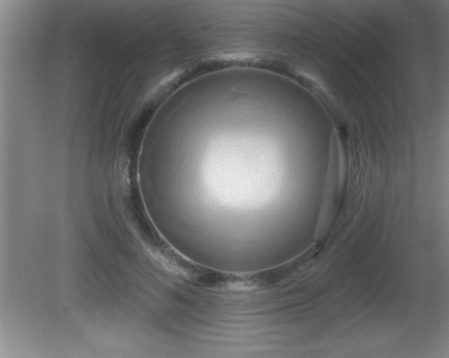 X0000081600692200701221137