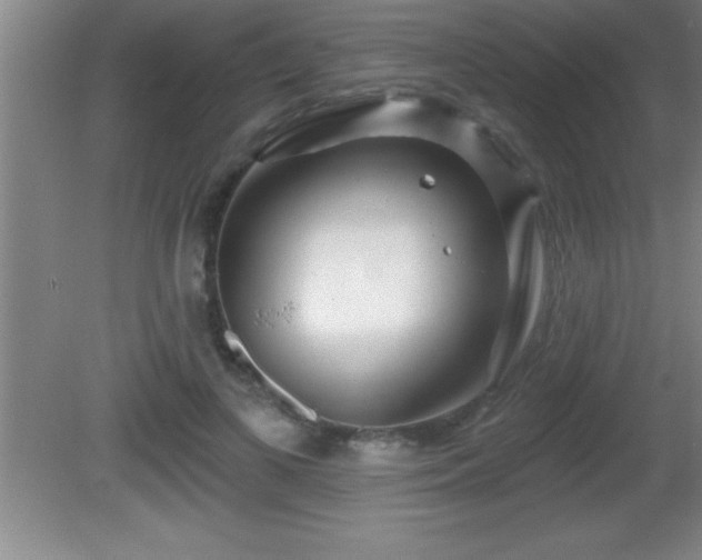 X0000081600693200701221137