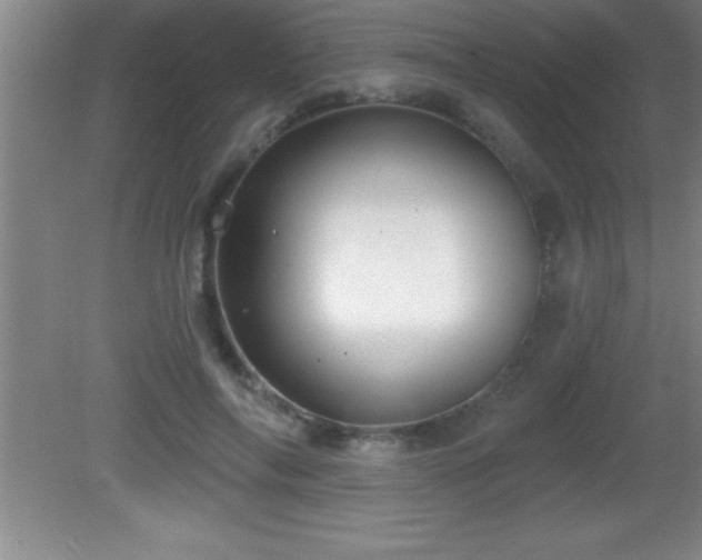 X0000081600694200701221137