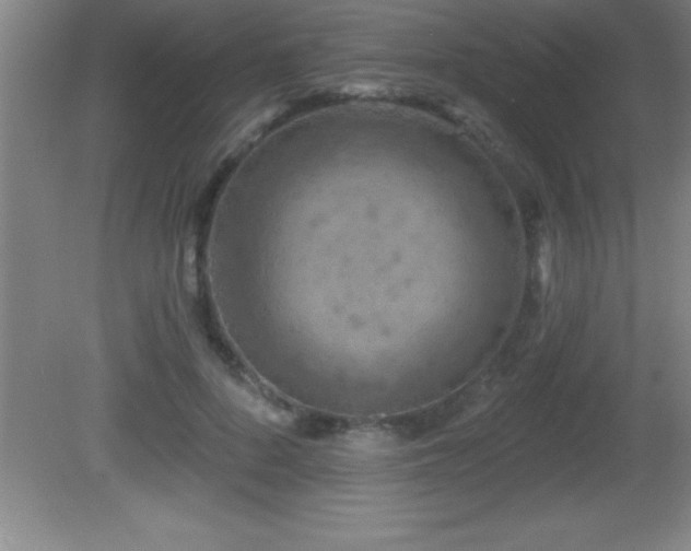 X0000081600696200701221137