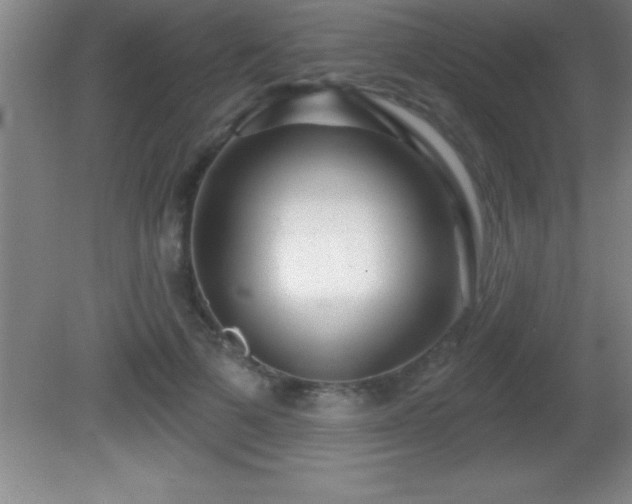 X0000081600697200701221137