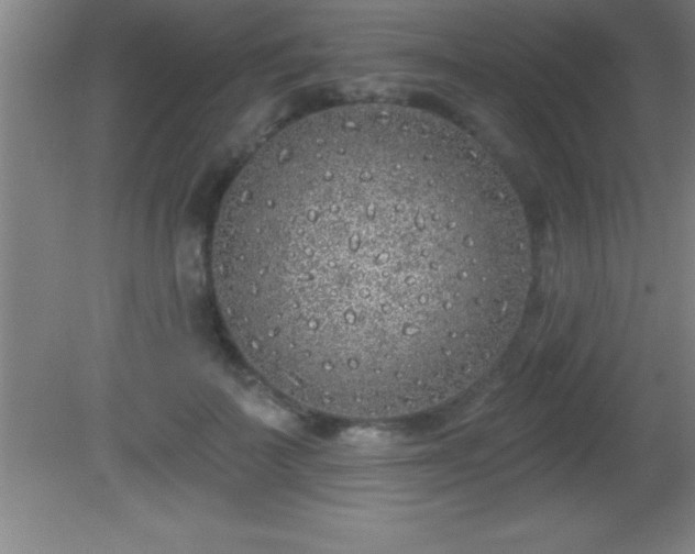 X0000081600699200701221137