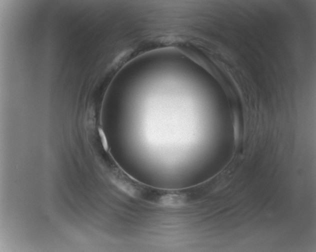 X0000081600700200701221137