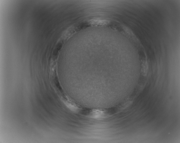 X0000081600701200701221137