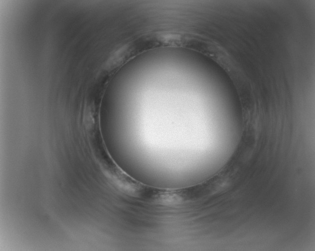 X0000081600702200701221137