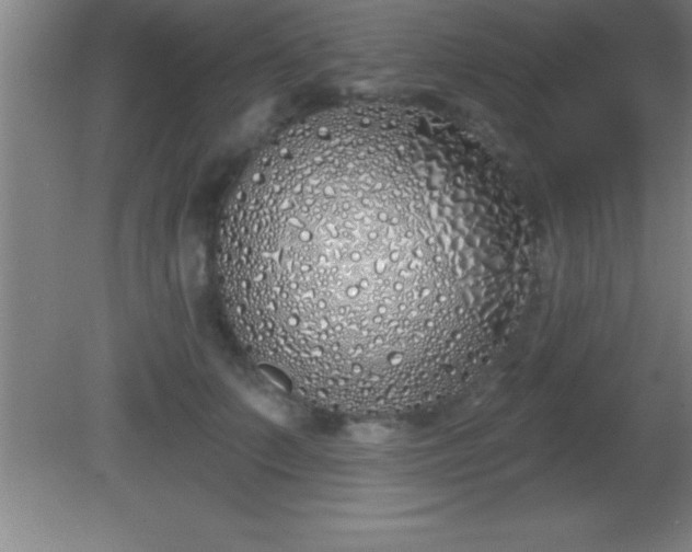 X0000081600703200701221137