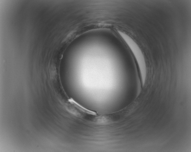 X0000081600704200701221137