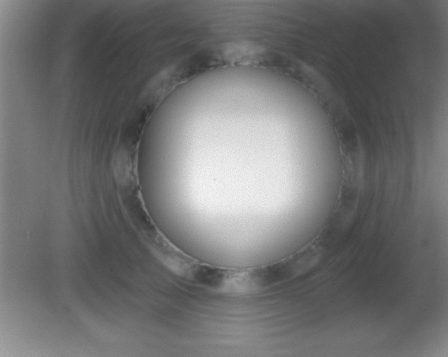 X0000081600705200701221136