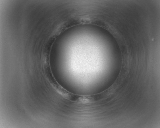 X0000081600706200701221136