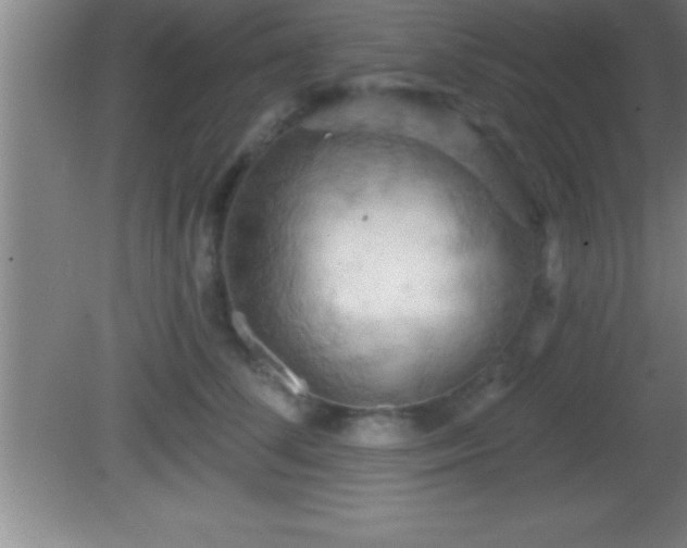 X0000081600708200701221136