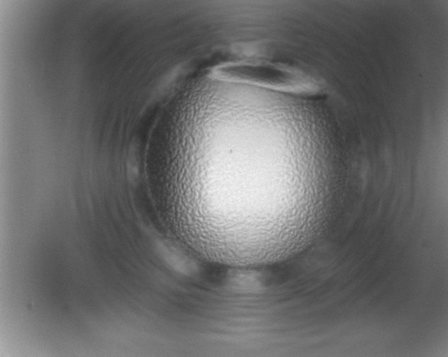 X0000081600710200701221136