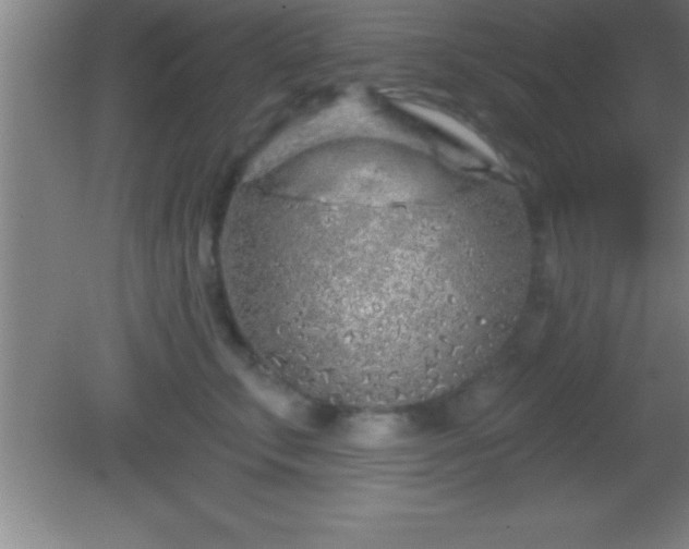 X0000081600711200701221136