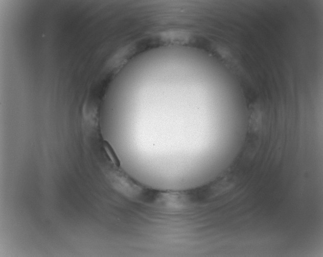 X0000081600713200701221136