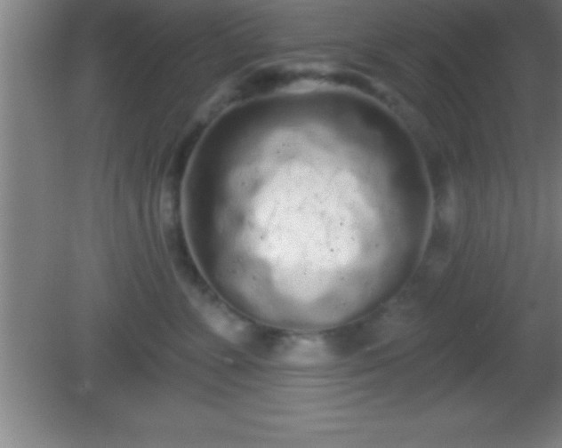 X0000081600715200701221136