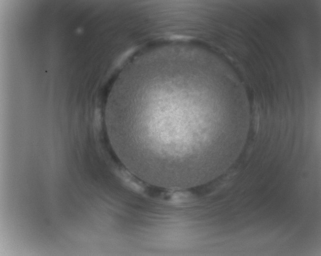 X0000081600716200701221136