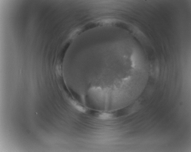 X0000081600718200701221136