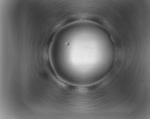 X0000081600719200701221136