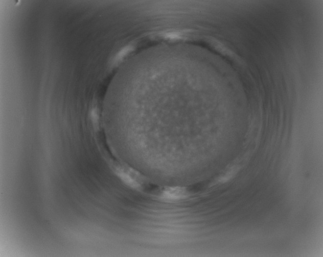 X0000081600720200701221136