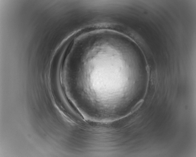 X0000081600722200701221135