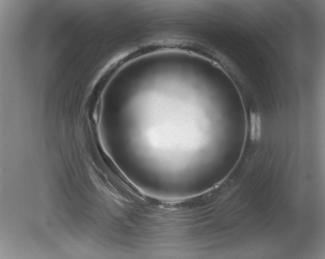 X0000081600723200701221135