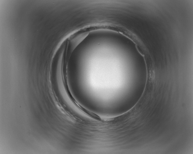 X0000081600724200701221135