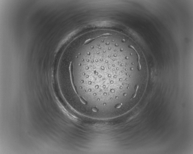 X0000081600725200701221136