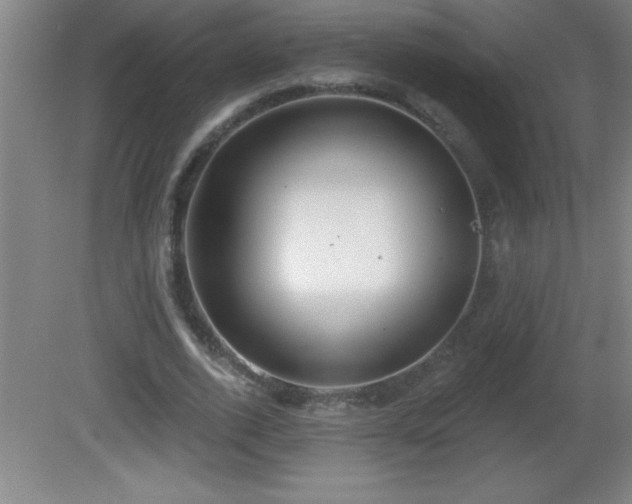 X0000081600728200701221136