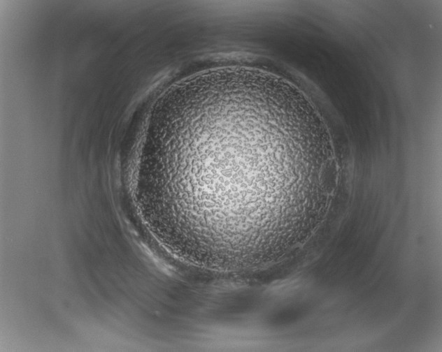 X0000081600729200701221136