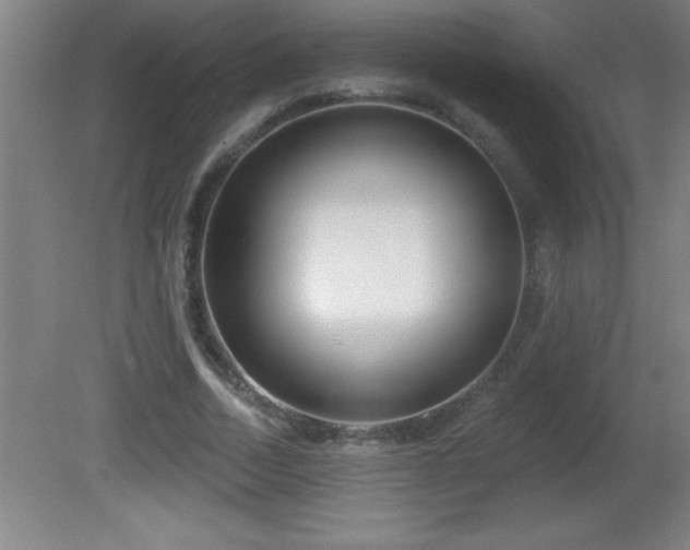 X0000081600730200701221136