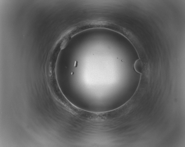 X0000081600731200701221136