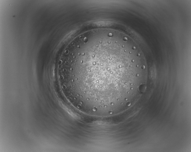 X0000081600733200701221136