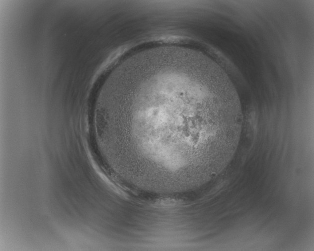 X0000081600734200701221136