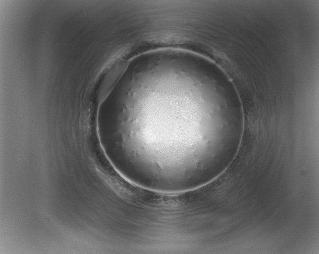 X0000081600735200701221136