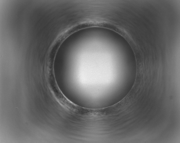 X0000081600736200701221136