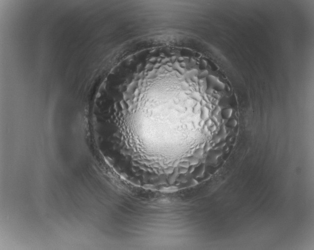 X0000081600737200701221136