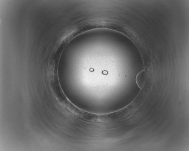 X0000081600739200701221136