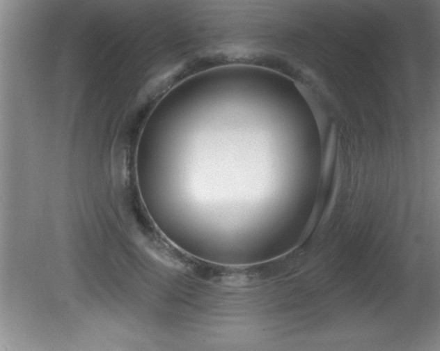 X0000081600740200701221136