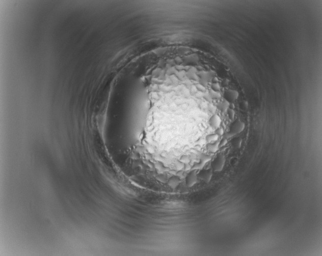 X0000081600741200701221136