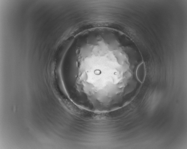 X0000081600742200701221136