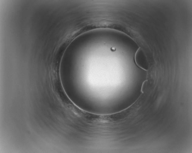 X0000081600743200701221136