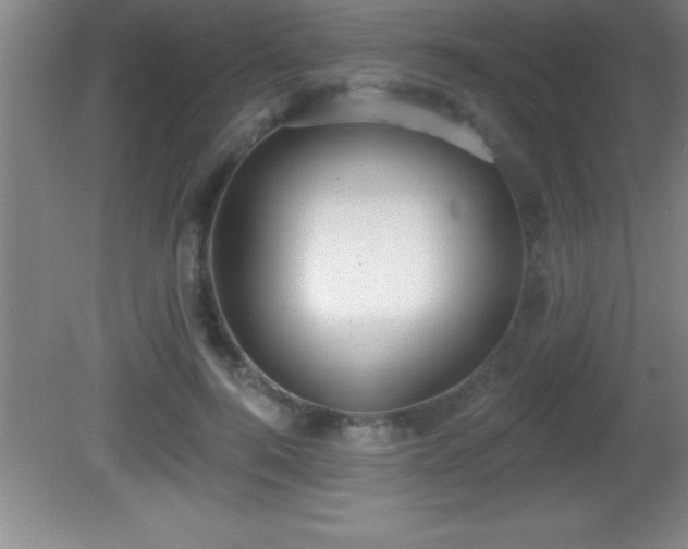 X0000081600744200701221136