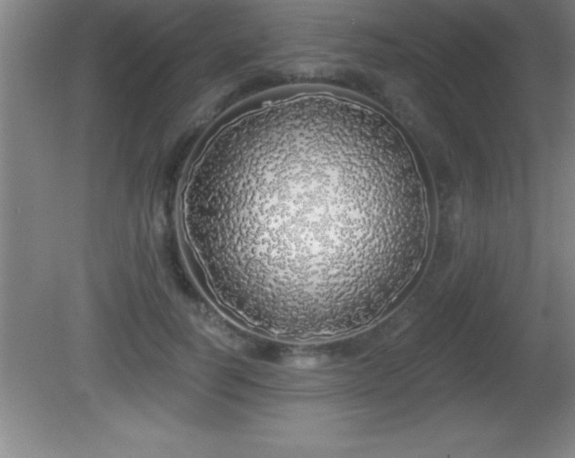 X0000081600746200701221136