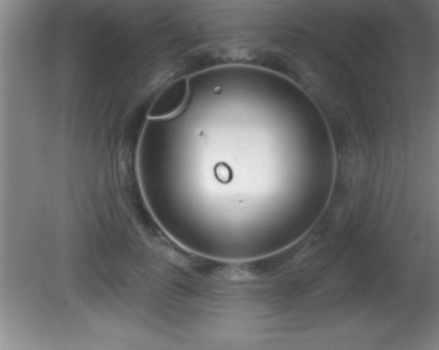 X0000081600747200701221136