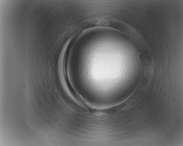 X0000081600748200701221136